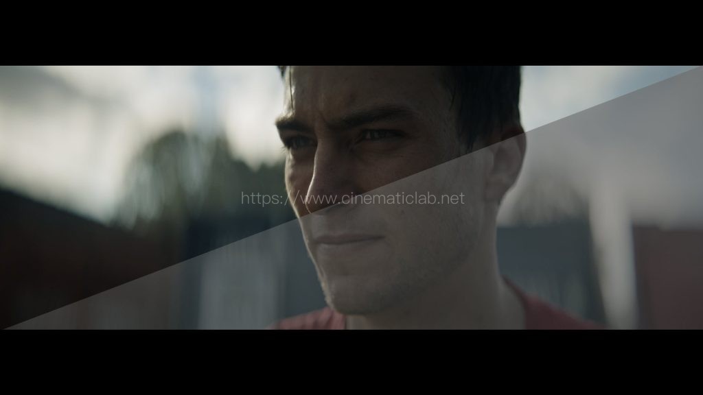 The Wandering DP LUT Collection: VOLUME #1 – THE FOUNDATION PACK – 基础套装