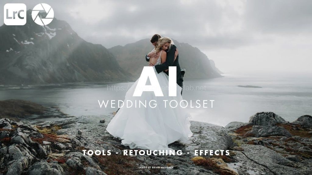 AI智能婚礼调色工具包 – AI Wedding Toolset – Archipelago