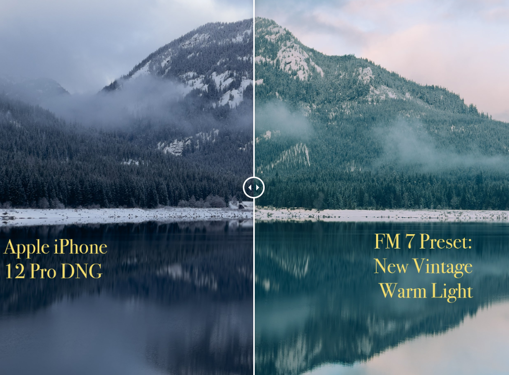 FM7 Lightroom 预设 - Forrest Mankins