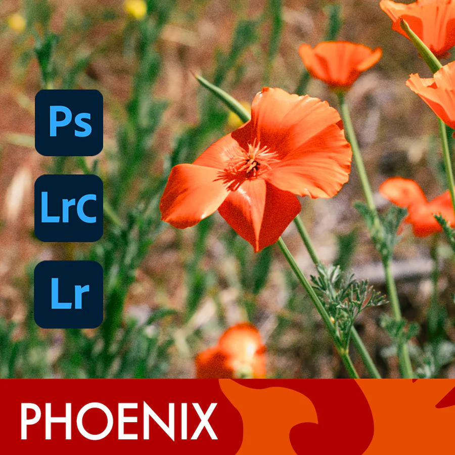 胶片乐趣：Harman Phoenix 200 胶片模拟 Lightroom 预设