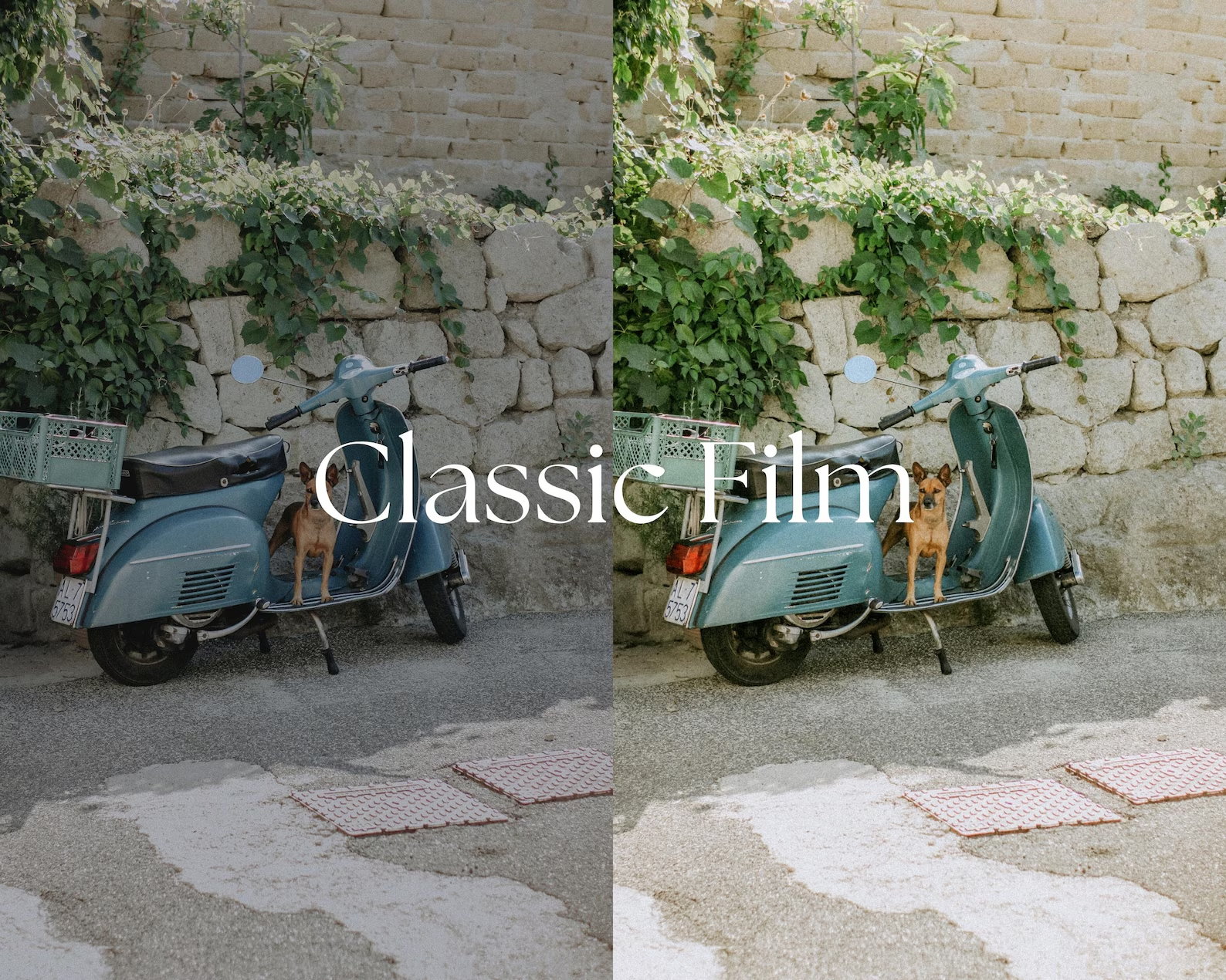 FilAndEllieStudio - 50+ 35MM胶片 Lightroom 预设